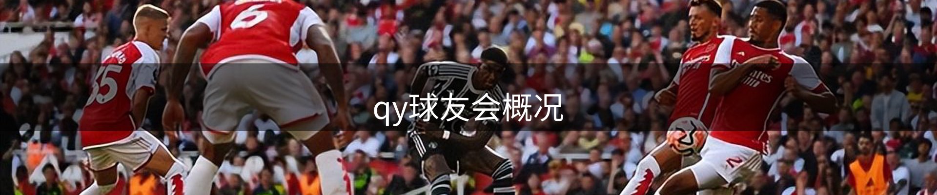 qy球友会概况